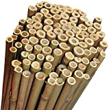 N° 25 Canne Bamboo Bambù cm 180 x Ø mm 24-26