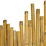 N° 25 Canne Bamboo Bambù cm 180 x Ø mm 28-30 Per piante,agricoltura,orto,arredi,strutture,decorazioni