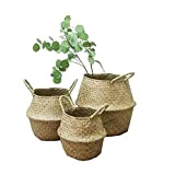 Natural Sea Grass basket, Goodchanceuk 3pcs/set cestino di stoccaggio con manico pieghevole vaso appeso vaso decorativo in 3 dimensioni, 20 ...