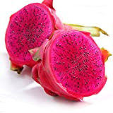 Ncient 10 Semi Sementi di Dragon Fruit Frutto del Drago Semi di Frutta Fiori Rari Piante Profumati per Orto Giardino ...