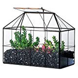NCYP Vaso per terrario in vetro a forma di griglia nera con coperchio, 25x13,5x20 cm,contenitore geometrico per piante succulente di ...