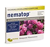 nematop® HB Nematodi per combattere il bocciolo di grossa grossa – 50 milioni per 100 m²
