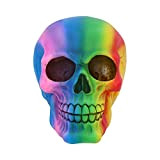 Nemesis Now Rainbow Skull 15,5 cm, poliresina, multicolore, taglia unica