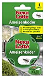 Nexa Lotte - Esca per formiche N, formiche Ex, trappole per formiche, mezzi per Combattere Le formiche all'Interno della casa ...