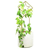 Niktule Piccolo traliccio per piante in vaso, supporto per piante in metallo dorato, asta di supporto per interni per edera, ...