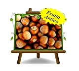 Nocciolo Tonda Giffoni – Pianta da frutto antico su vaso da 20 - albero max 170 cm - 2 anni