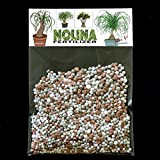 Nolina NPK Fertilizzante - Nolina recurvata Beaucarnea, pianta mangiafumo, ma anche piede d'elefante - abbastanza per 20 litri