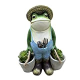 NOPEILVI Statue Frog piantatrice Mini succulenti pentola in Giardino Resina fana