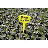 Nortene 8413246214544 - Etichetta per piantare, confezione da 10, etichetta 15, incolore, taglia unica