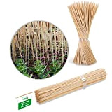 Novatool 100 bastoncini per piante in legno di bambù, 90 cm x 7 mm, colore naturale