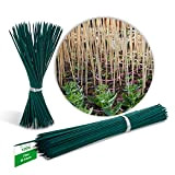 Novatool 100 stecche da 70 cm x 6 mm, colore verde, per piante rampicanti, in bambù, per piante e piante