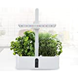 PanHuiWen Kit di sistema colturale idroponico per interni Smart Herb Garden Kit per la casa cucina giardinaggio