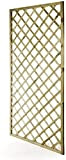 Pannello Grigliato in Legno di Pino Impregnato da Giardino per pianti rampicanti Decorazione Balconi (120x180 cm)