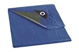 Perel 70-0204 - Telone di copertura normale, 2 x 4 m, colore: Blu/Verde