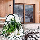 Piccola tenda pop-up per coltivare casa, copertura per serra in PVC, tenda per piante da giardino all'aperto, mini serra pop-up ...