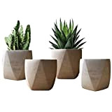 Piccoli vasi per piante Set da interno 4 - Vasi da fiori geometrici per piante succulente di cactus