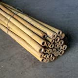 Pierucci Agricoltura CANNE in Bamboo 20/22 X 210 h Numero 20. TUTORI per ORTO E ARREDO Giardino