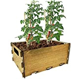 PLANTAWA Kit di semina per pomodori, kit di coltivazione per orto urbano, fioriera interna per casa, kit coltivazione di piante ...