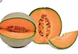 PLAT FIRM Germinazione dei semi: 200 semi di melone, semi di frutta biologica Meloni cantalupo dolce Honeydew