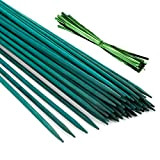 Pllieay 30PCS Bastoncini di bambù verdi da 12 pollici con 60 pezzi di legami metallici verdi, paletto di piante verdi, ...