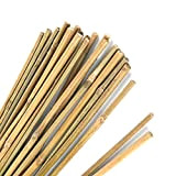 Pllieay Pali di bambù Spessi Naturali Paletti da Giardino Canne di bambù per Supporto Piante, 40 cm