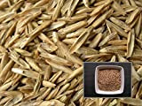 Portal Cool 40 Grammi Ray Grass Inglese prenium - Perenne Lolium L. - Perenne Rye Grass - (- Sem02
