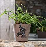 Pot Buddies - Portavaso per piante da scimpanzé, colore: bronzo