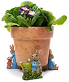 Potty Feet Beatrix Potter Peter Rabbit & Mrs Rabbit Figure Piedi vaso - Supporto per fioriera - Ornamenti decorativi fatti ...