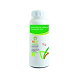 PRO-Care NPK 12.6.6 da 1 LT Bonsai Concime Liquido NPK ad Alto Titolo di Azoto, Ideale per la ripresa vegetativa