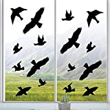 Prolac - Adesivi per finestra, per protezione contro gli uccelli, sagome di uccelli, etichette permanenti, resistenti ai raggi UV e ...