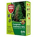 Protect Garden Aliette WG fungicida sistemico per erba e conifere, 500gr, Green Water