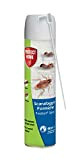 Protect Home Fastion Spray Scarafaggi e Formiche, Insetticida spray a rapida azione per eliminare formiche e scarafaggi. Con cannuccia per ...