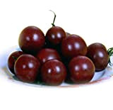 Purple Tomato 30+ Seeds Semi biologici Large Cherry Tomato Organici Non OGM Frutta fresca dolce Orto Semi per piantare gustosi ...