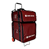 QB-Bag Set Borse salvaspazio ripiegabili imbottite con carrello trolley standard per oggetti di diverse dimensioni - brevetto italiano (BORDEAUX)