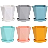 Queta Set di 6 vasi in plastica con sottovasi, vasi in plastica per piantine, piante in miniatura (rosa, giallo, blu, ...