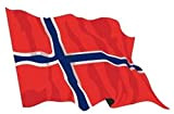 R&F srls Bandiera Norvegia Nazionale Tessuto Misura Standard 90 X 150 cm