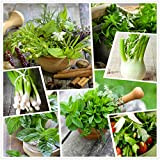 Raccolta di semi di erbe aromatiche 15 pacchetti individuali delle nostre erbe culinarie più popolari (15)