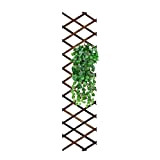 Reagia Fioriera da parete in legno a traliccio Recinzione da giardino, extra spessa espandibile per piante rampicante telaio pensile traliccio ...