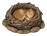 Real Life Woodland Dormouse Addormentato nel nido | Decorazione per la casa o il giardino in resina | NF-DM09-F
