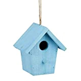 Reladays 10020732_45 Casa per Uccelli Colorata Legno Piccola Casetta Decorazione Primaverile HLP: 16 x 15 x 11 cm blu