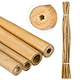 Relaxdays Canne di bambù 150 cm, in bambù Naturale, Sostegno per Piante Rampicanti, Bricolage, Legno Naturale