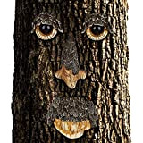Relaxdays Tree Face, 4 Pezzi, Spirito della Foresta, Resistente a Intemperie, da Appendere al Tronco, Marrone/Beige