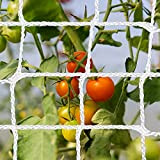 Rete di aiuto per piante rampicanti, 1,5 m x 4,6 m, per legare pomodori con 100 piante, rete da arrampicata ...