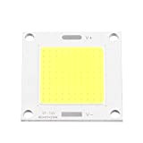 Riuty Pannello LED COB, 12-14 V 50 W LED Integrato Chip Light Panel Flood Lampada per proiettore Fai-da-Te Proiettore(Bianco)