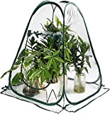 RONGRONG Mini serra, piccola tenda pop-up, con 4 picchetti di ancoraggio, portatile, in PVC, per piante, fiori, esterni, protezione interna ...