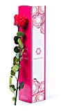Rosen-Te-Amo | rosa eterna profumata a stelo lungo e biglietto auguri scaricabile in scatola regalo dal design raffinato || Rose ...