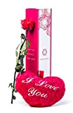 Rosen-Te-Amo | rosa eterna profumata a stelo lungo | peluche (25 cm) e biglietto auguri scaricabile | scatola regalo dal ...
