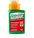 Roundup Express - Diserbante concentrato per Erbacce e Erbacce Senza glifosato, Fino a 310 m², 250 ml