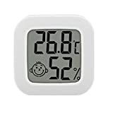 RUIZHI Mini Termometro Digitale da Interno Igrometro Temperatura Umidità Display LCD Termometro Sensore Wireless Bluetooth per Casa, Ufficio Termoigrometro