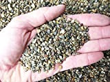 Sabbia silicea, quarzite 2/5 mm (10 kg - 6 lt)